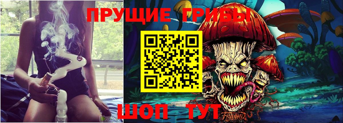 Псилоцибиновые грибы Psilocybine cubensis Лиски
